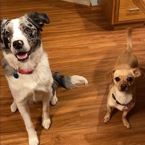 Meet your Posher, Jana